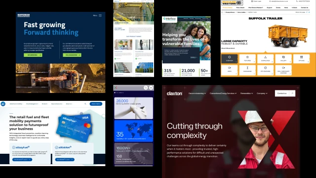 Bigfork website montage